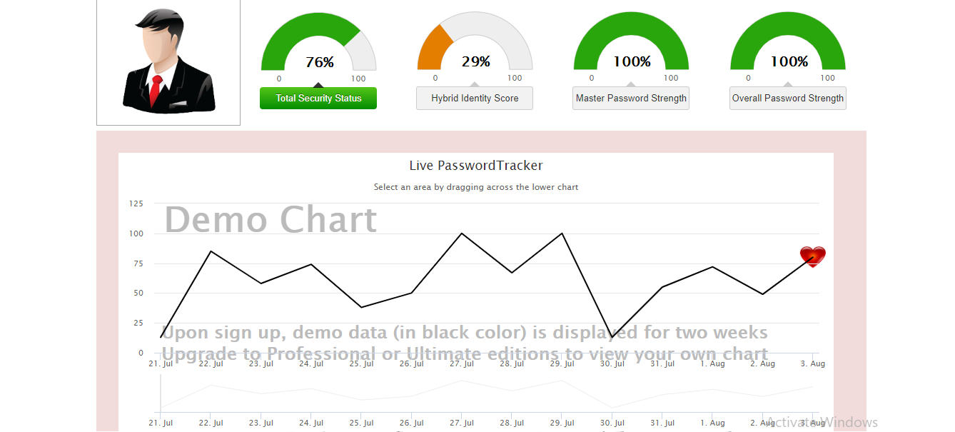 logmeonce audit report